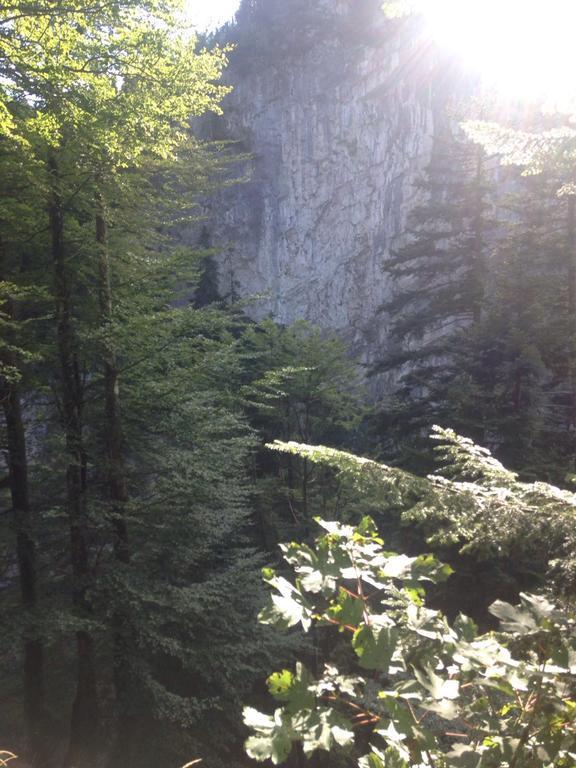 Landgasthof Hirschen Hohenems Zewnętrze zdjęcie