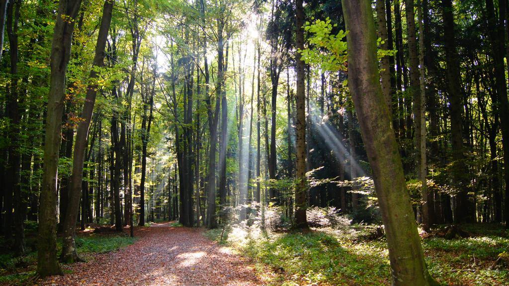 Landgasthof Hirschen Hohenems Zewnętrze zdjęcie